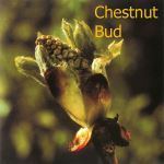Fleurs de Bach : Chestnut bud