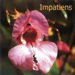 Fleurs de Bach : Impatiens