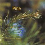 Fleurs de Bach : Pine