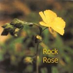 Fleurs de Bach : Rock rose