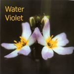 Fleurs de Bach : Water violet